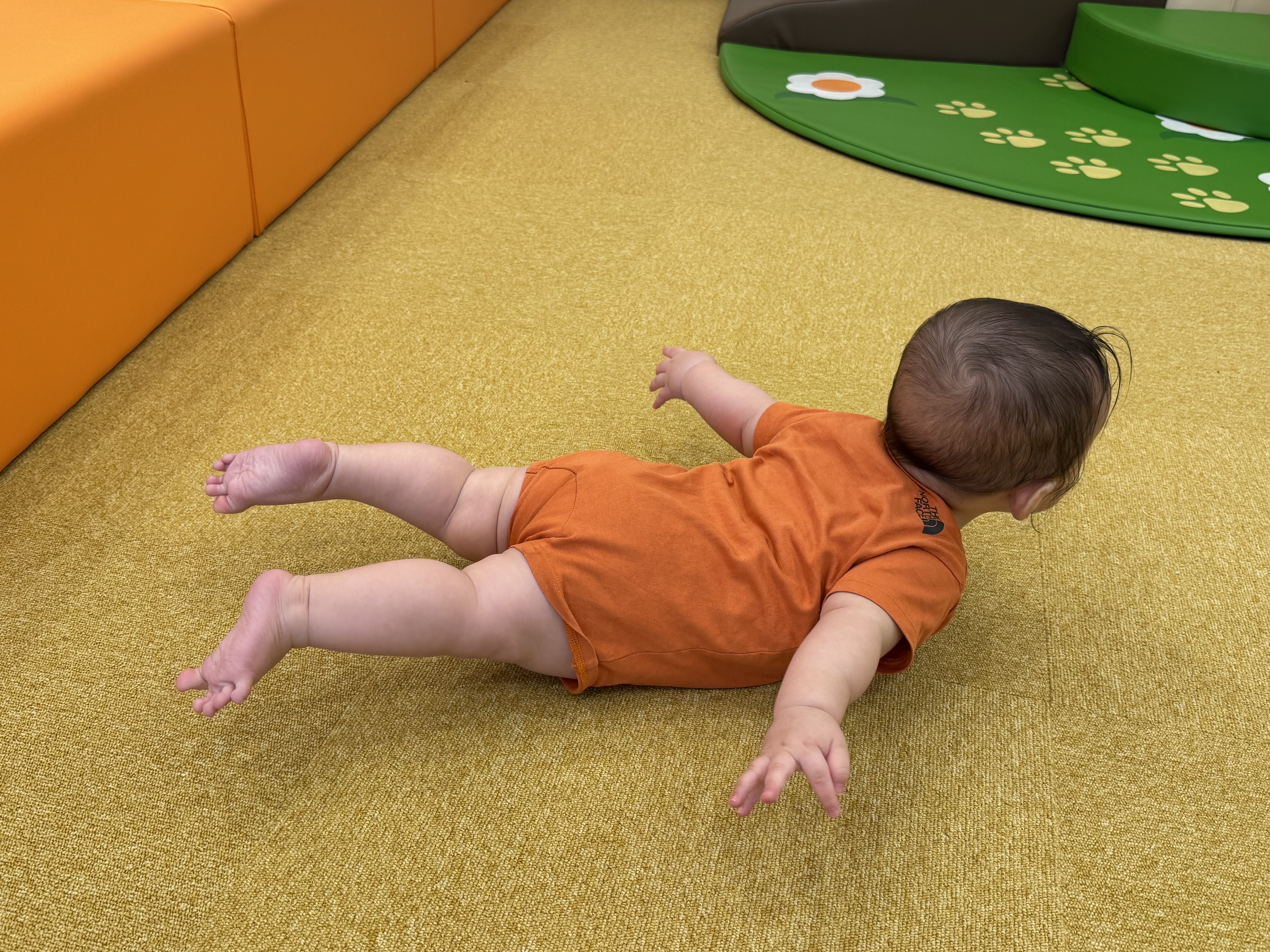 2025_10_1.jpeg (5.06 MB)