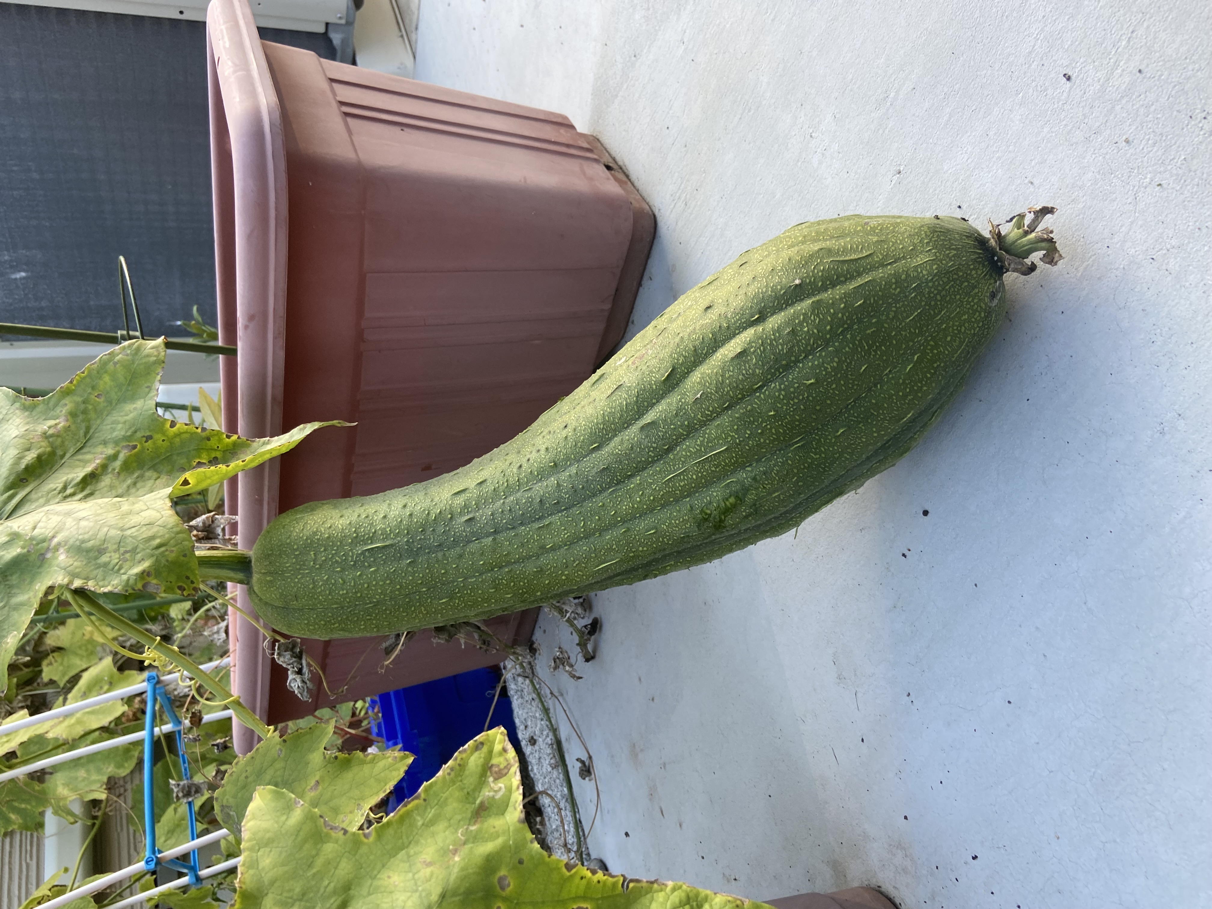 2025_11_01.JPG (2.22 MB)