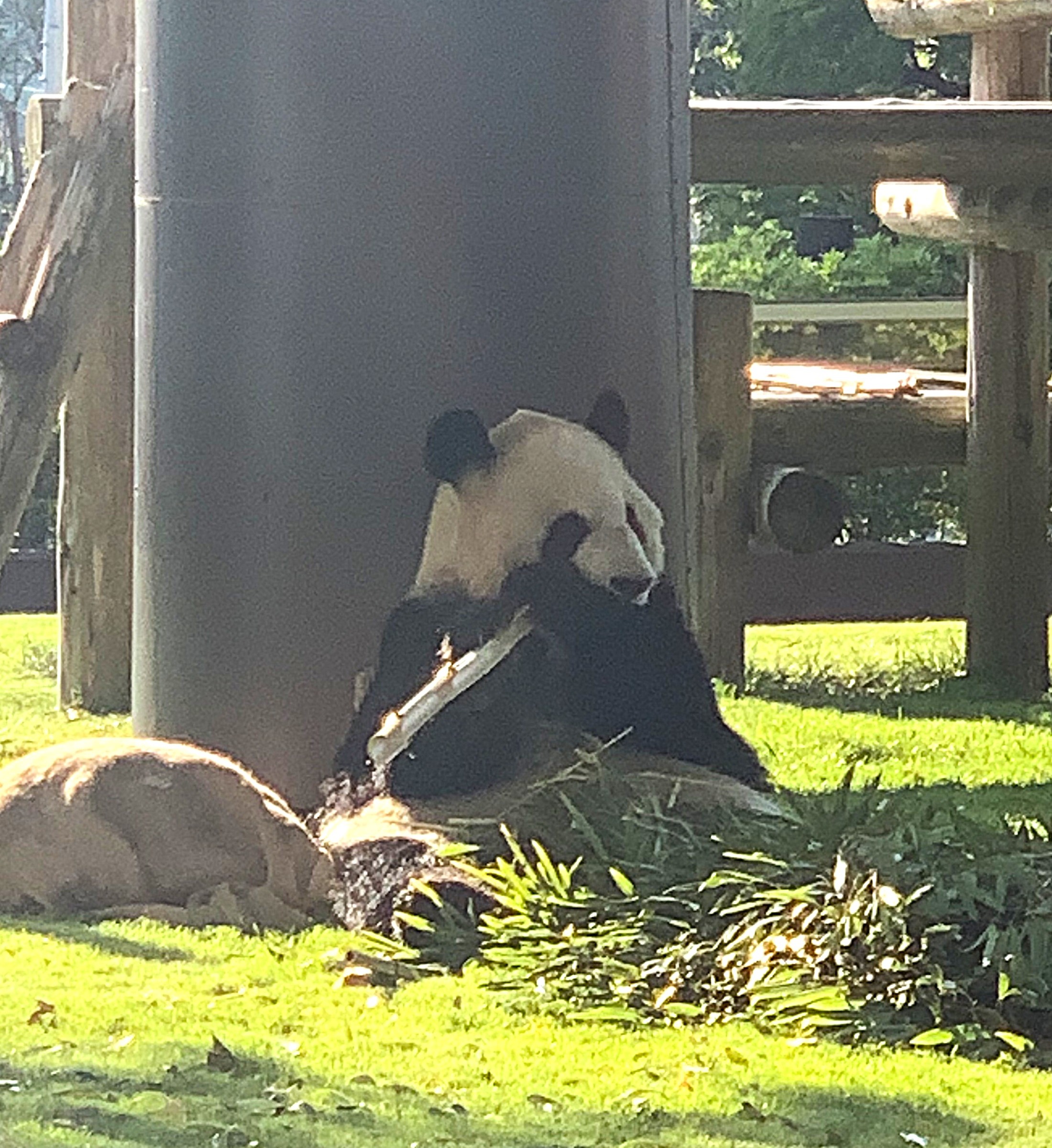 2025_09_15.jpg (1.23 MB)