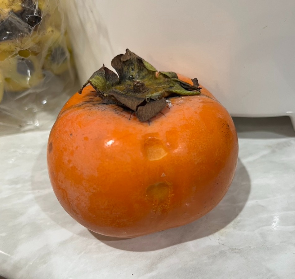 251127-152003.png (134 KB)